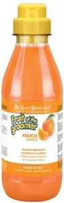 Шампунь Iv San Bernard для слабой выпадающей шерсти с силиконом Fruit of the Grommer Orange NSHAAR500